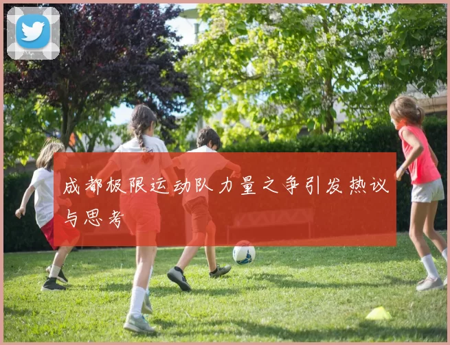 成都极限运动队力量之争引发热议与思考