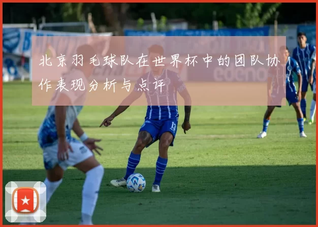 北京羽毛球队在世界杯中的团队协作表现分析与点评