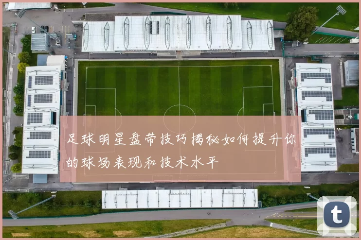 足球明星盘带技巧揭秘如何提升你的球场表现和技术水平