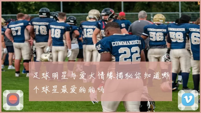 足球明星与爱犬情缘揭秘你知道哪个球星最爱狗狗吗