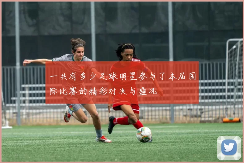 一共有多少足球明星参与了本届国际比赛的精彩对决与盛况