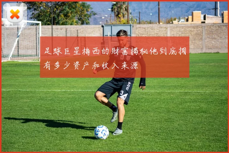 足球巨星梅西的财富揭秘他到底拥有多少资产和收入来源