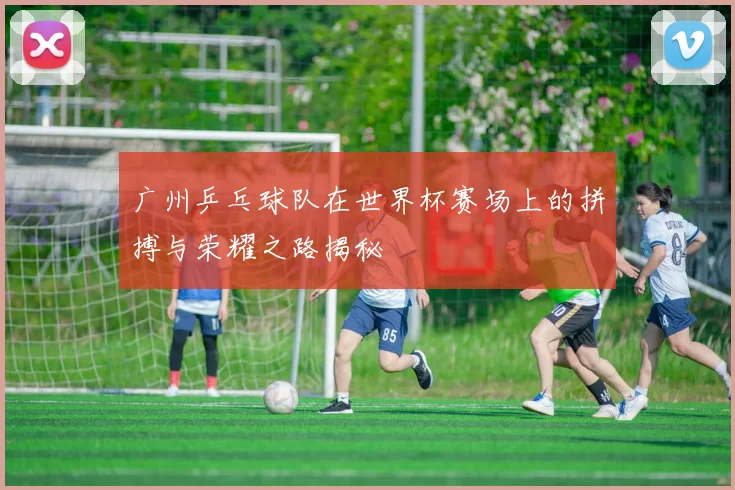 广州乒乓球队在世界杯赛场上的拼搏与荣耀之路揭秘